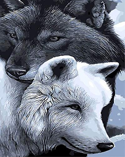 ABEUTY Wandkunst Zwei Wölfe Tier Malen nach Zahlen, DIY Ölgemälde auf Leinwand Gemälde 40x50cm