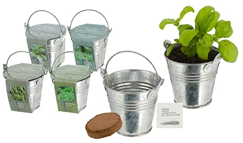 Küchenkräuter im Zinkeimer - 4er Set - Kräuter Topf mit Kokos Quelltab und Samen - Anzucht Starter Kit inklusive Saatgut und Kokoserde Dill Petersilie Schnittlauch Basilikum