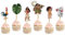 Seyal® Mna Cupcake-Topper
