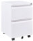 Panana Fully Assembled!Home Filing Furniture Under Desk 2Drawers Steel Lockable Mobile File Cabinet Bedside Table, Office Metal Storage Chest of Drawers(W39*D46*H71.5cm,White)