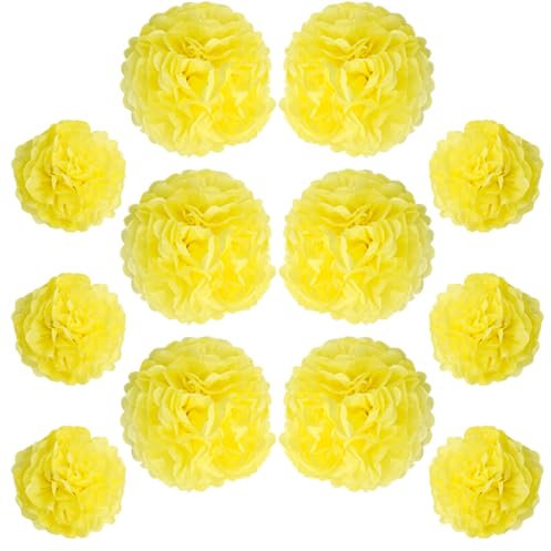 Ruidee 12 Stück Seidenpapier Pompoms 10in and 12in Papier Blumen Ball Dekorpapier Kit Papierblumen Pom Poms für Hochzeit,Geburtstage,Party Dekorationen (ZH/Yellow)