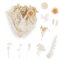 Aitsite Trockenblumen, Getrocknete Blumen, Trockenblumen Zum Basteln Trockenblumen Klein Trockenblumen Set ​für Kunst DIY Harz Scrapbooking Handwerk Karten Machen (Weiß)