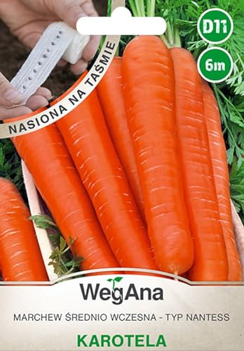 WegAna 6m Nastro per semi Carote Carotela Semi Carote Nantaise Robusta Semi di ortaggi Semi di ortaggi Semi di coltivazione Erbe da cucina Balcone & Giardino Spezie