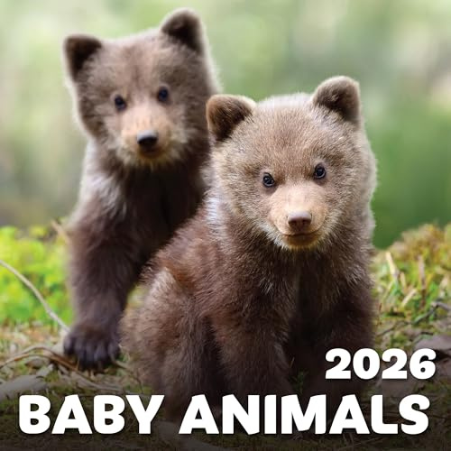 EcoEarth - Biodegradable 11x17 Inch - Open - 12-Month Vertical Hanging Wall Calendar - Jan 2026 - Dec 2026 Monthly Calendar - Baby Animals