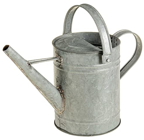 SIDCO Gießkanne Metall Blechkanne Wasserkanne Alt-Zink Dekokanne Landhaus Kanne 1,5 L