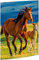 RNKVERLAG 45353 - Zeichenmappe Free Horses 310 x 440 mm DIN A3 mit Gummizugverschluss, 1 Stück