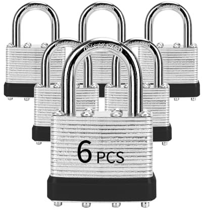 LQYN Lot de 6 cadenas avec clé identique (40 mm), cadenas à clé identique, anse normale, pour casier de rangement, loquet à moraillon, boîte à outils, abris de jardin