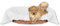 Bestlivings Tierdecke Hundedecke Kuscheldecke Haustierdecke, kuschelig weich in vielen erhältlich (80x120 cm/weiß - Champagner)