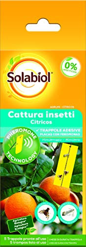 Solabiol - Insecticida para plagas de cítricos, placas con feromonas, 5 placas