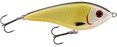 Westin Swim 12cm 53g suspending - Jerkbait zum Spinnfischen auf Hecht & Zander, Hechtjerkbait, Hechtköder zum Jerkbaitangeln, Farbe:Official Roach