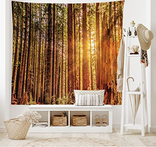ABAKUHAUS United States Tapestry, Tall Trees Red Woods Forest Humboldt California Sequoia Picture, Fabric Wall Hanging Decor for Bedroom Living Room Dorm, 90 W X 54 L, Orange Dark Brown Green