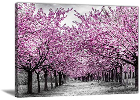 Kirschblütenbaum Wandkunst Rosa Blumen Gemälde Kirschblüten Bilder Rosa Baum Wandkunst Schwarz und Weiß Leinwanddrucke Baum Leinwand Kunst Kirschblüte Wanddekoration für Schlafzimmer 61 x 40,6 cm