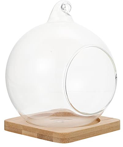 Amosfun Schr?g Geschnittene Schüssel Anlage Terrarium Display Glas Tabletop Sukkulenten Air Plant Pflanzer Hydrokultur Pflanze Halter Schüssel für Wohnkultur Mittelpunkt Display Topf