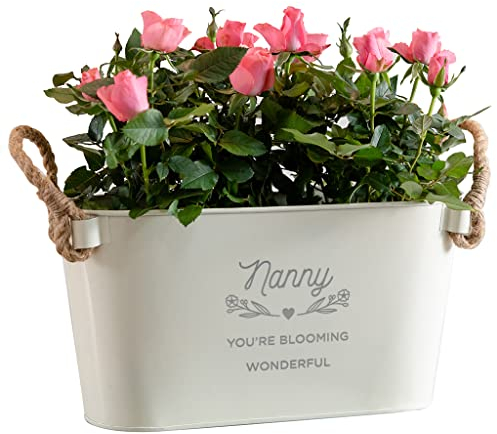 Pot de fleurs gravé « Nanny You're Blooming Wonderful » – Pot de fleurs unique pour intérieur et extérieur – Cadeau d'anniversaire ou de fête des mères – Pot de fleurs pour nounou