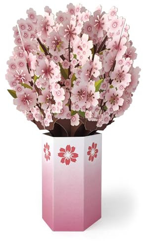 scicent Karte Hochzeit Pop-Up Blumen Karte Kirschblüte für Frau Mann als Geburtstagskarte Dankeskarte oder für Gute Besserung Geburtstag Karten - 20547