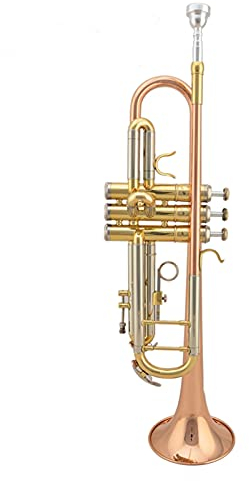 KLKL Standard Trompete Professionelle Trompete B Flache Goldlack- Trompete Messing- Windinstrumente Mit Fall Und Mundstück