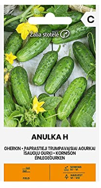 Zalia stotele | EINLEGEGURKEN ANULKA H samen| Gemüsesamen | mittelfrühe Einlegegurken samen | Pflanze samen | Für den Anbau im Freiland | Gardensamen | 1 Pack