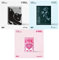 (G) I-DLE - I feel (6th Mini Album) CD+Pre-Order Benefit+Folded Poster (3 ver. SET, 3 Folded Posters)