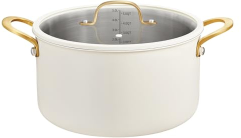 BEZIA 6 Quart Stainless Steel Stock Pot with Lid, Non-Toxic Soup Pot for Healthy Cooking, Induction Compatible with Silicone-Rimmed Lid, Dishwasher Safe for Small Families & Couples