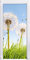 Pusteblumen auf sonniger Frühlingswiese als Türtapete, Format: 200x90cm, Türbild, Türaufkleber, Tür Deko, Türsticker