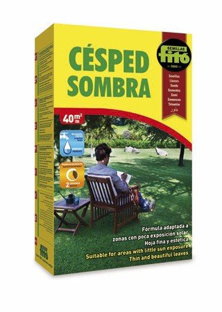 Semilla Césped Sombra - Semillas Fitó