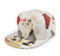 Oaieltj Unisex Baseball Cap Herren Damen Einstellbare Snapback Trucker Hat Mode Hip-Hop Baseball Cap, Sushi Katze Japanisch Niedlich Lustig Kätzchen, One size