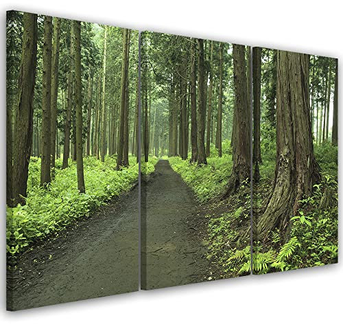 Feeby 3-teilig Leinwandbild XXL 120x80 cm Farn Bäume Natur Wald Wandbild Kunst Bilder Schlafzimmer Deko Wohnzimmer Pflanzen Blätter Pfad Grün