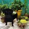 Tauzveok Pflanze Holz blumenkübel,Hund blumentopf, pflanzgefäße für draussen deko, für gartendeko, Kakteen, Büro, Perfekte Geschenkidee blumentöpfe,Mops Schwarz