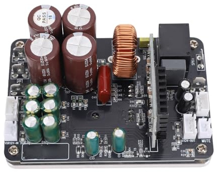 Fafeicy Placa Amplificadora de Potencia de Alta Fidelidad, Módulo Mono Digital Clase D de 700 W para Cine en Casa y Estudio, Amplificador de un Solo Canal de Alta Potencia con ±35-100 V CC
