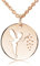 Materia or rose collier avec pendentif fée Argent 925 rond à 42 + 5 cm avec boîte bijoux # KA 374