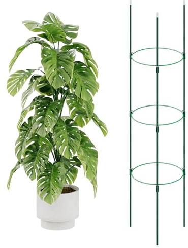 Bamworld Support pour Plantes grimpantes - Grand Treillis de Jardin - Cage à tomates - 120 cm