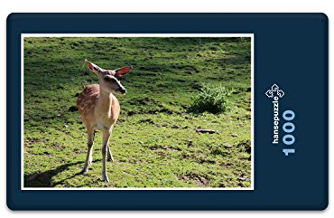 hansepuzzle 46602 - REH Puzzle 1000 Teile - Tierwelt-Puzzle mit hochwertiger Aufbewahrung: Kartonbox und wiederverschließbarem Beutel - Format 60 × 46 cm