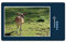 hansepuzzle 46602 - REH Puzzle 1000 Teile | Tierwelt Puzzle mit hochwertiger Puzzle Aufbewahrung: Kartonbox und Wieder verschließbarem Beutel | Puzzle-Maße: 60 x 46 cm