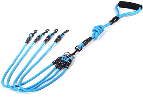 Hund Leine für 2/3/4 Hunde Haustier Walking Kupplungen Blei Nylon Geflochtenen Seil Einstellbare Koppler Keine Verwicklung Hund Leine… (für 4 Hunde, Blau)