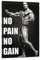KFMD Vintage-Bodybuilding-Poster, Arnold Schwarzenegger, 'No Pain No Gain', 20 x 30 cm