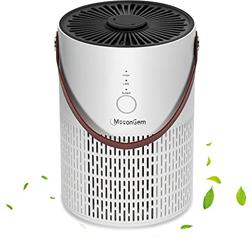 MooonGem HEPA Air Purifier, Air Filter for Home with Scented Sponge, Pollen, Pet Hair, Dander, Smoke, Dust, Air Pollutants, Odor Eliminator, Home Air Cleaner with Filter Night Light