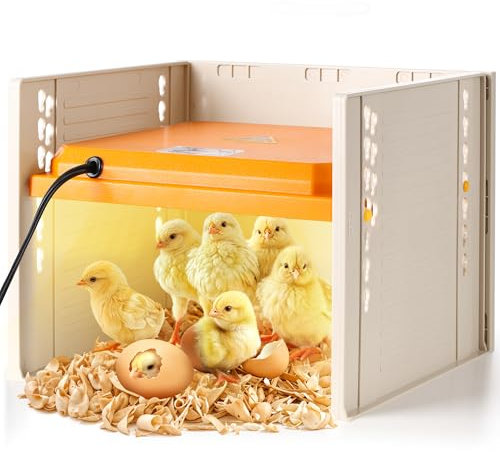 Placa calefactora para pollitos con altura y ángulo ajustables