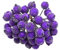 Veesper 200pcs künstliche Beere Stängel gefrostete Obstbeeren Weihnachtskranzzubehör Mini Weihnachten Beeren Picks Blumenzweig Weihnachtskranz Dekorationen für Urlaub Dekoration Party, Lila