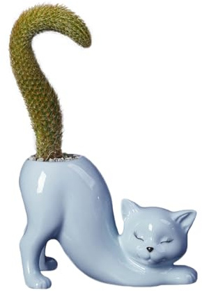 Yizzwtc Vasi a Forma di Gatto, Vasi Ceramica per Piante, Piccolo Fioriera in Ceramica da Interno vaso per Piante Succulente per Fiori, Piante Grasse, Cactus, Decorazione della Casa (Blu)