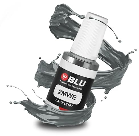 BLU Stylo de Retouche de Peinture Gris Compatible avec Ford 2MWE Magnum Grey | Réparation de Peinture Automobile