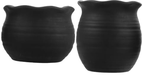 SKISUNO 2pcs Stylish Terracotta Flower Pots for Indoor Plants Mini Succulent Pots Porous Ceramic for Cactus Bonsai