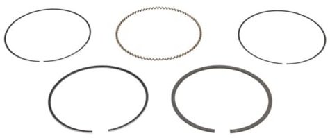 Goetze Engine 08-445700-00 Piston & Rings