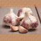 FLORTUS Winterpflanzknoblauch Germidour | 250 g | Steckzwiebelgröße 40-50 mm | Pflanzknoblauch für den Anbau von frischem und mild gewürztem Knoblauch | Ideal für Container und Hochbeet Anbau