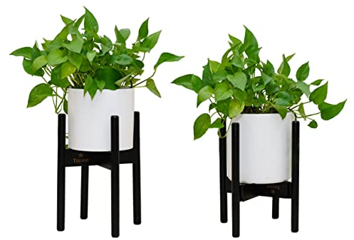 Topest Adjustable Wooden Plant Stand Holder Black – Mid Century Design – For Indoor and Outdoor – Fits Up to 30cm Plant Pots [Plant and Plant Pot Not Included]