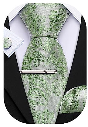 Barry.Wang Corbata delgada de seda de 63 pulgadas para hombre, diseño de cachemira/color sólido, pañuelo de moda, 4 piezas, clásico, boda, fiesta de negocios, verde menta, Taille unique, Talla única