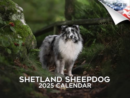 2024 2025 Shetland Sheepdog Kalender – Monatlicher Wandkalender für Hunderassen – 30,5 x 45,7 cm geöffnet – dickes Papier ohne Auslaufen – Geschenk – akademischer Lehrerplaner Kalender Organisieren