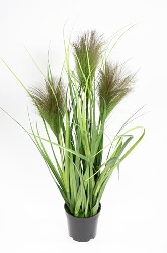 Seidenblumen Roß Chinaschilf/Chinagras im schwarzen Topf GA Gracillimus Kunstpflanzen künstliche Pflanzen künstliches Gras Dekogras (60x30cm)