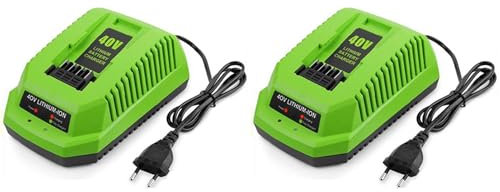Eoslcusmvl 2X Chargeur de Batterie au Lithium 40V pour GreenWorks 29482 G-MAX 40V Batterie Li-Ion 29472 29482 29652 G40825 Prise EuropéEnne
