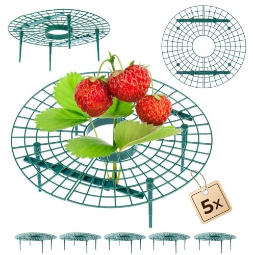 KADAX Erdbeerstützen 30cm, 5 Stück, Schutz für Erdbeeren, Erdbeerreifer aus Kunststoff, Erdbeerschutz, Schneckenschutz für Erdbeerpflanzen, Erdbeergitter