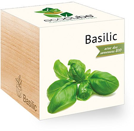 Feel Green Ecocube Basilic Certifiées Bio, Idée Cadeau (100% Ecologique), Grow-Your-Own/Kit Prêt-à-Pousser, Plantes Dans Des Cubes En Bois 7.5cm, Produit En Autriche